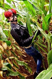 Gagged in the cornfield