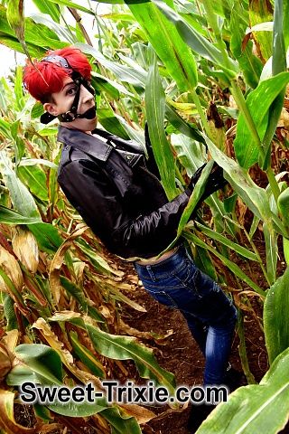 Gagged in the cornfield